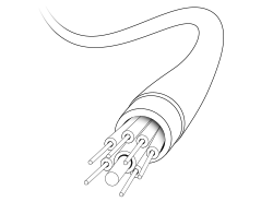 Internet y redes sociales 1