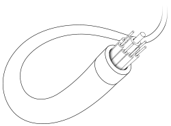 Internet y redes sociales